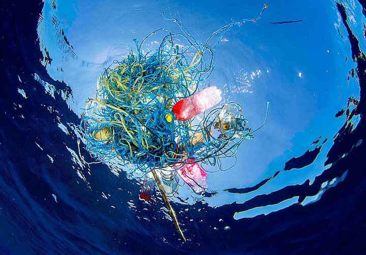 Ghost fishing gear under the surface in the Mediterranean