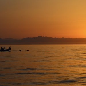 The Alnitak team film dolphins at sunset in the Golfo de Vera in Murcia